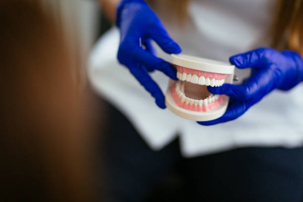Best Preventive Dentistry  in Holyoke, CO