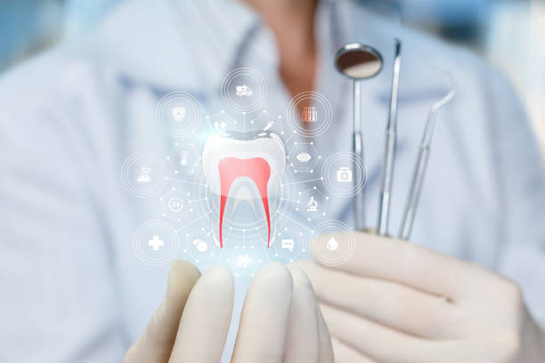 Best Full Mouth Reconstruction  in Holyoke, CO